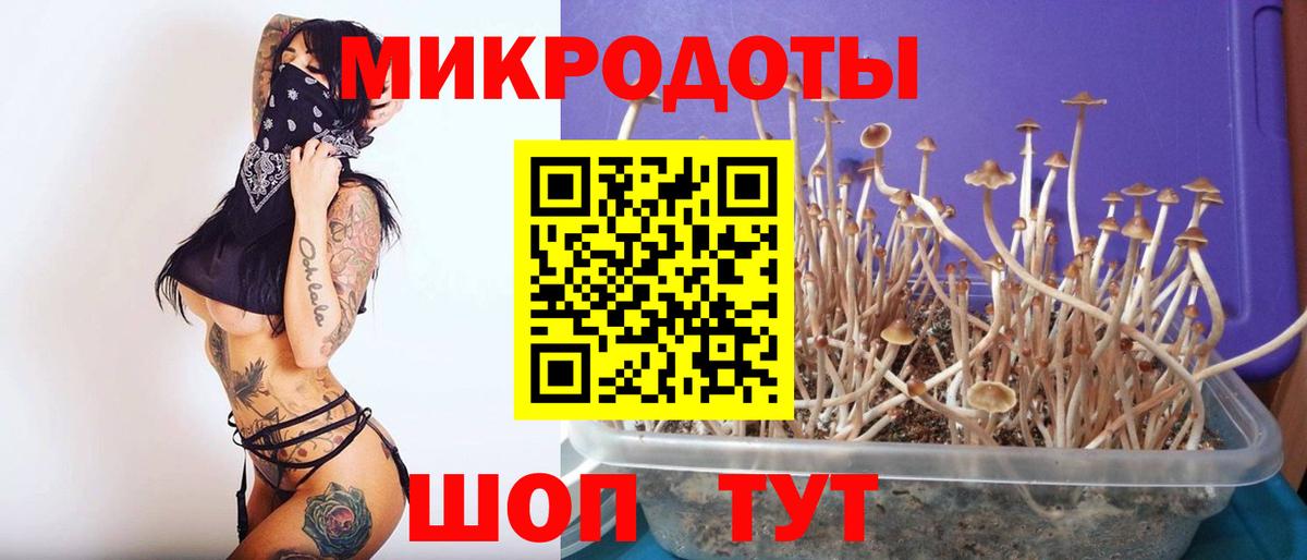 Тара  Галлюциногенные грибы ЛСД  Вход с VPN 