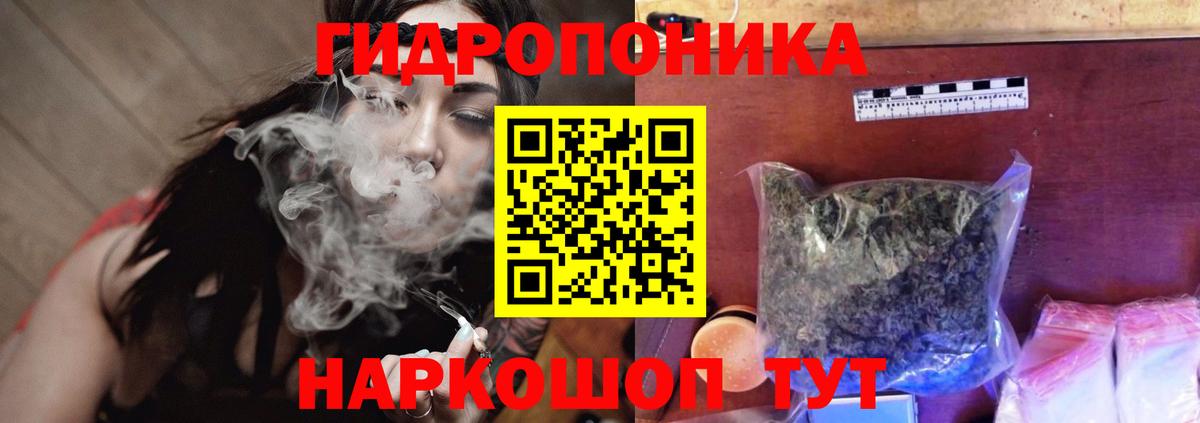 Бошки Шишки конопля  Марихуана семена  Вход с VPN  Бошки марихуана White Widow  Тара 